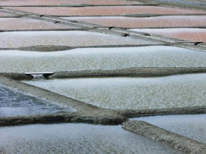 Brittany-salt-pans-at-Guerande